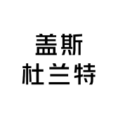 盖斯杜兰特跑鞋