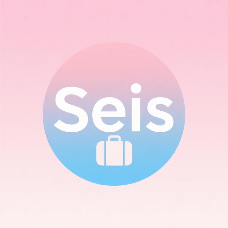 Seis同欢箱包专卖店