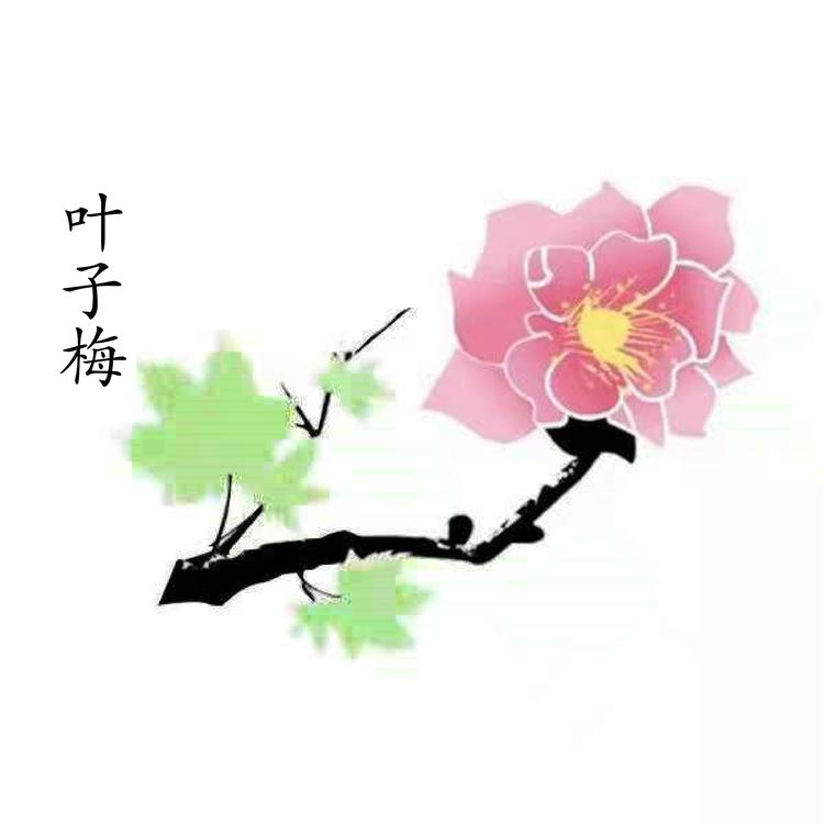 叶子梅服饰