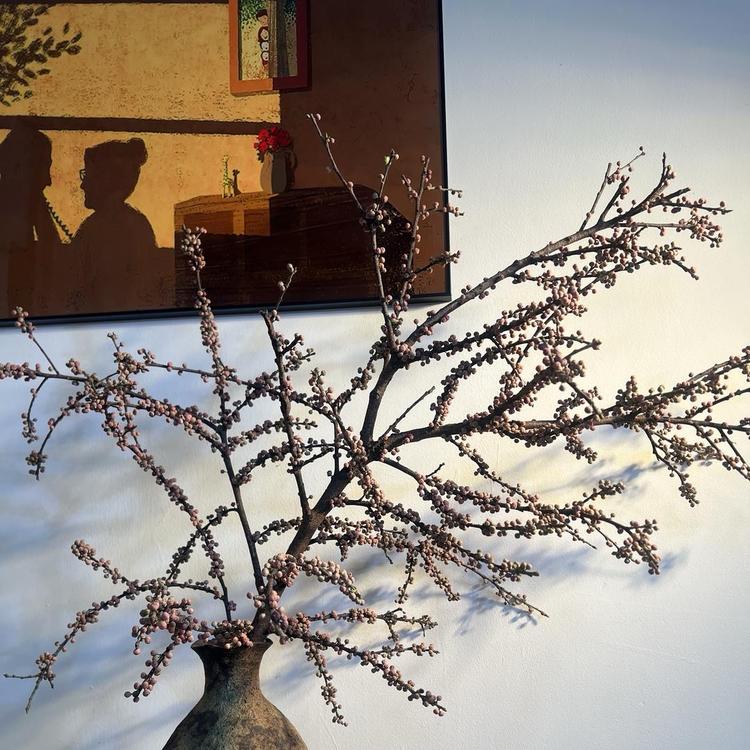 小众花野