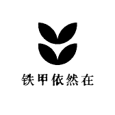 铁甲依然在