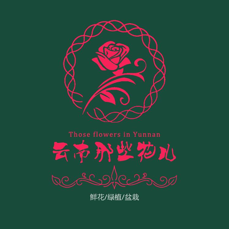 云南那些花儿