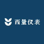 西量仪表