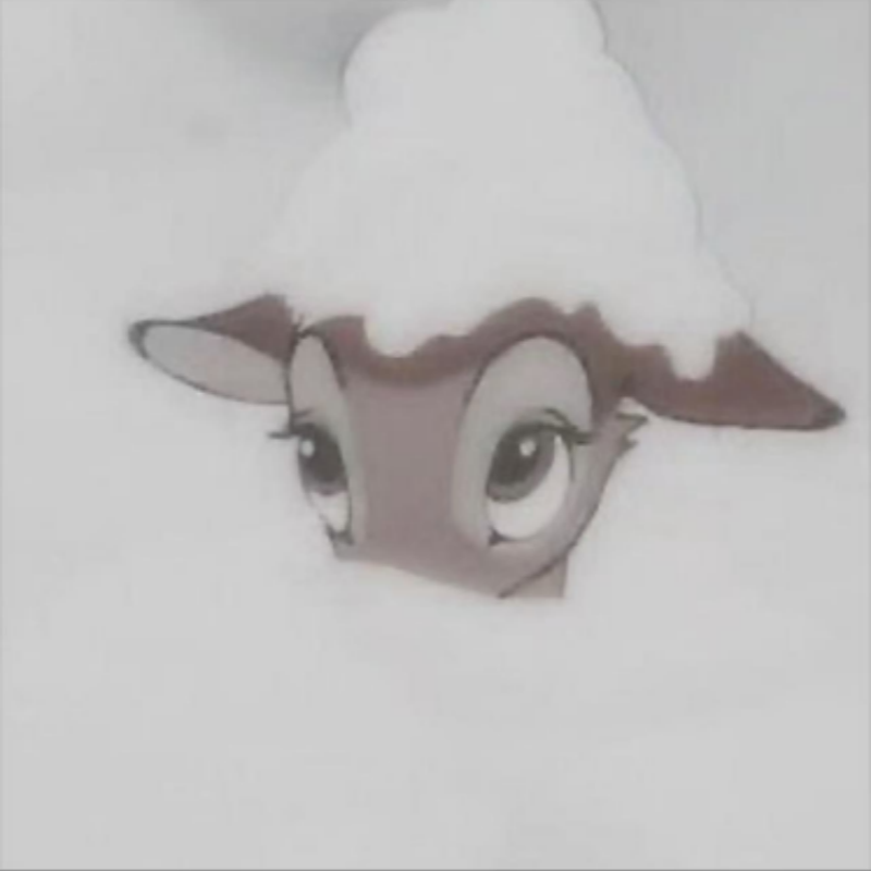 ally的橱窗