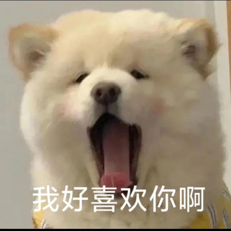 红火蓝童鞋