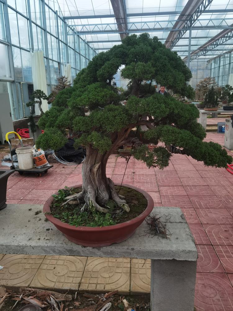 莒南县丰农家庭种植农场的小店个体店