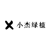 小杰绿植