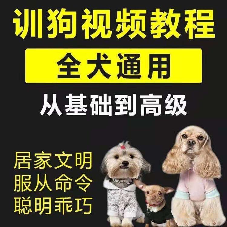 爱宠物生活用品