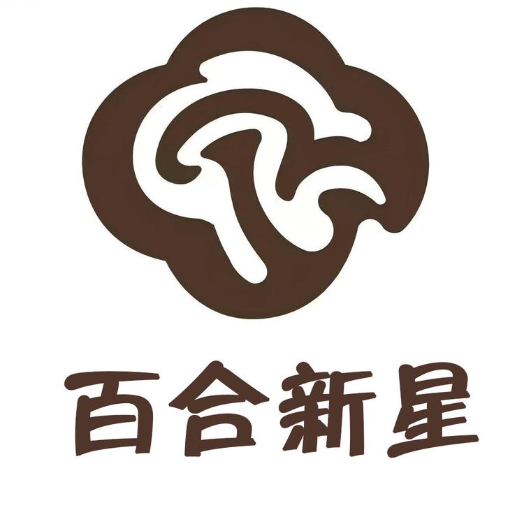 百禾新星企业店