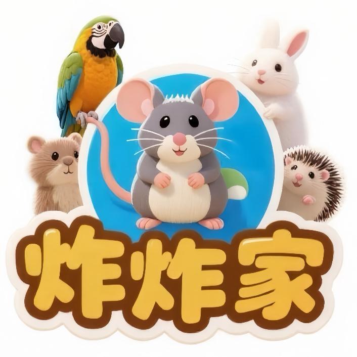 炸炸家