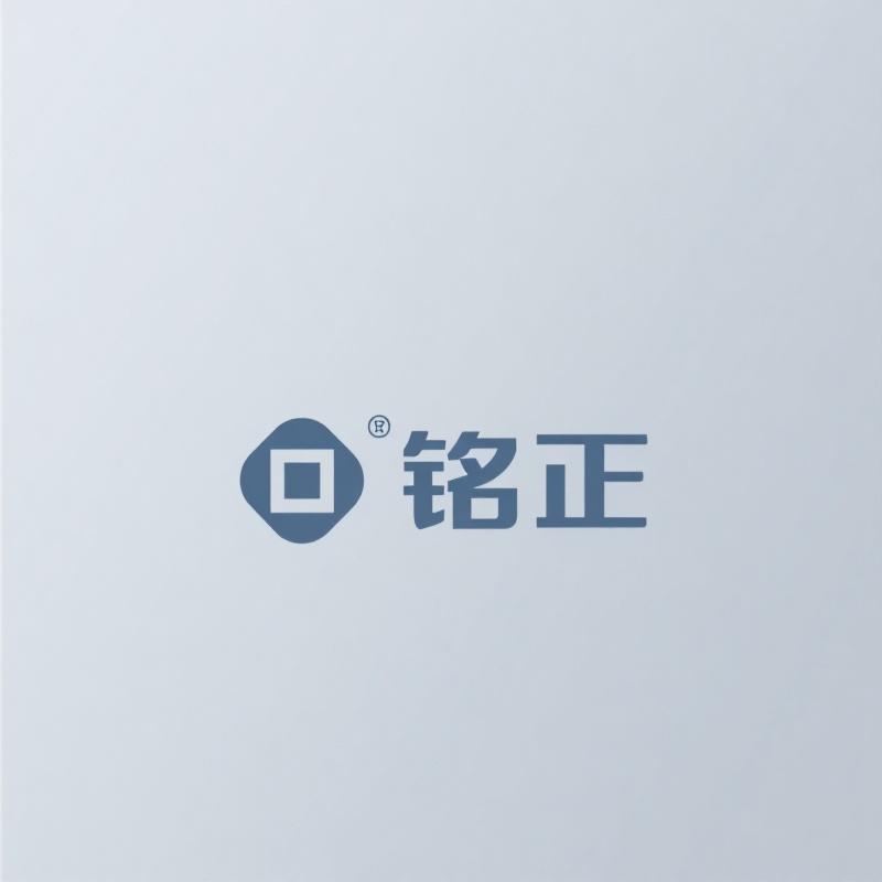 铭正智能飞行专营店