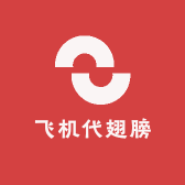 飞机代翅膀