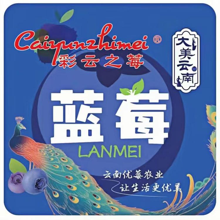 彩云之莓花香蓝莓