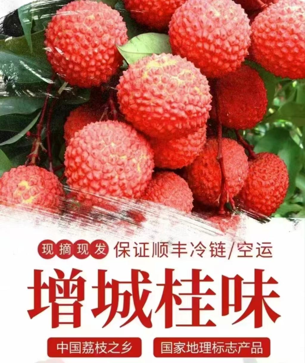 正宗岭南增城荔枝