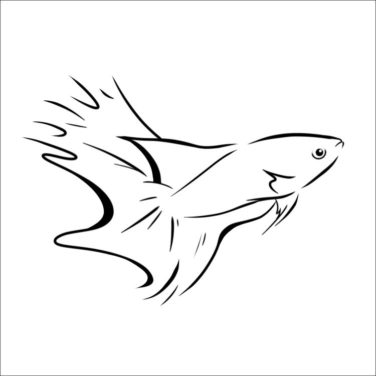 水族宠物馆