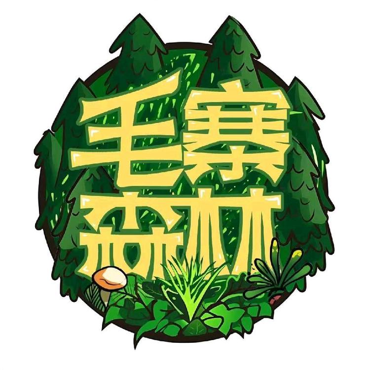 毛寨森林