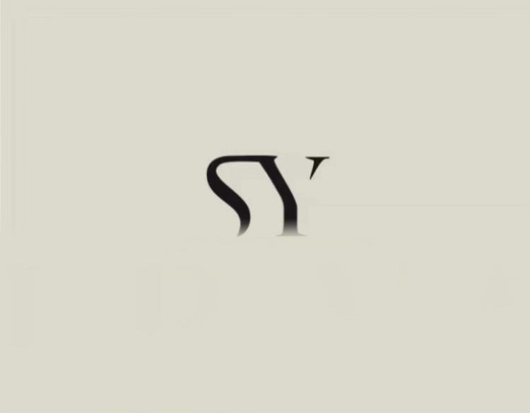 Sy纯手工穿戴甲