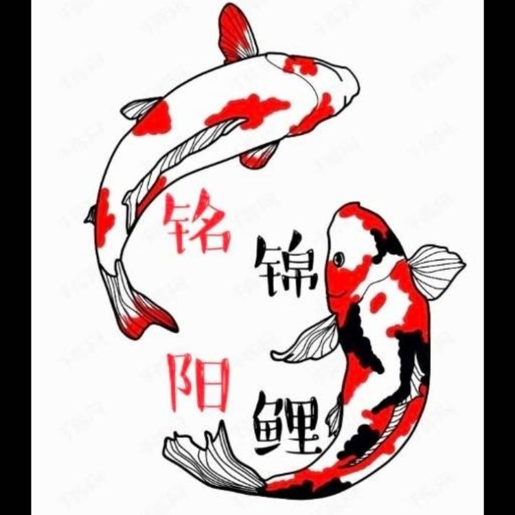 铭阳水族