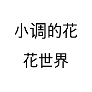 小调的花花世界个体店