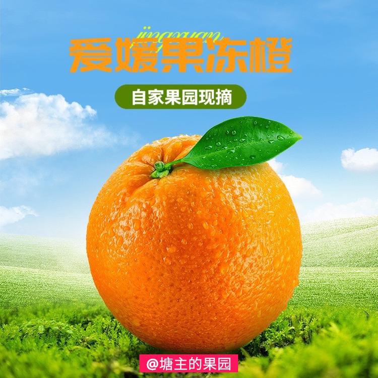 江塘果园