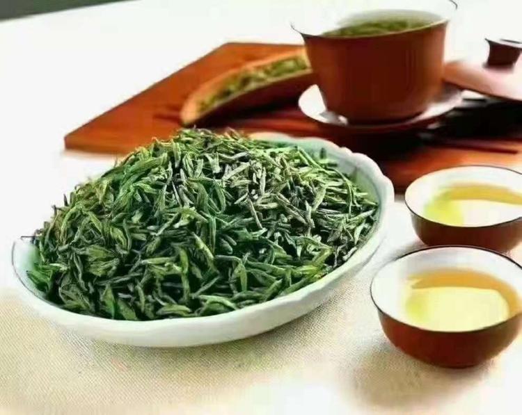 旺果恋诺启果树苗木专卖店