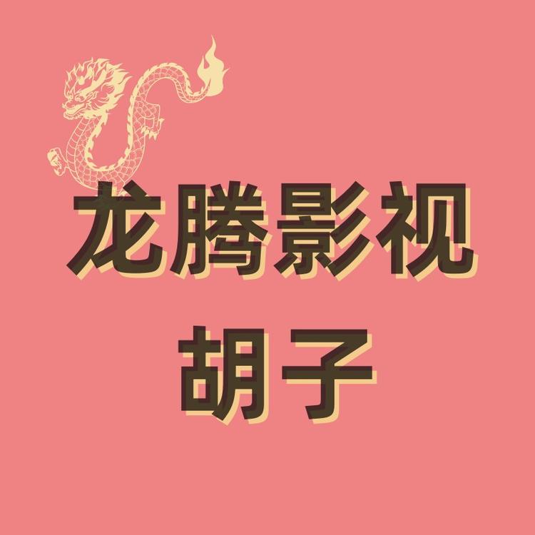 龙腾影视胡子假发