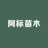 阿标苗木