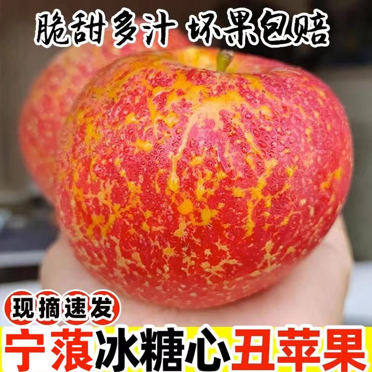 糖心苹果供应链