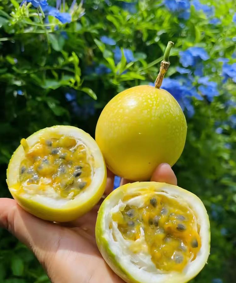 杨时豪优品小铺