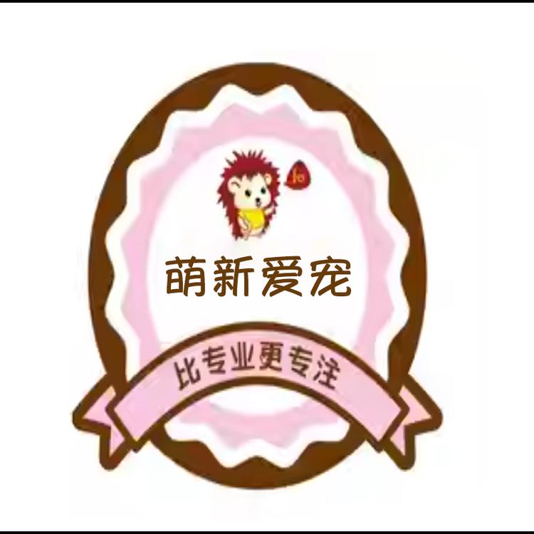 萌新爱宠