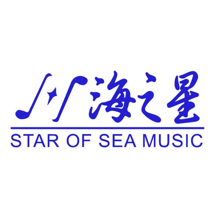 海之星琴行乐器专营店