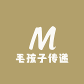 毛孩子传递