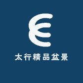 太行精品盆景