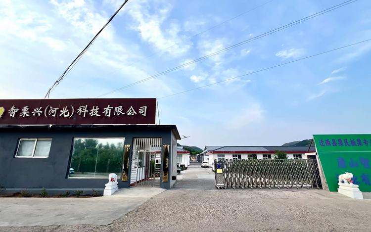 酒公子跟着老爸学酿酒