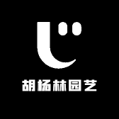 胡杨林园艺