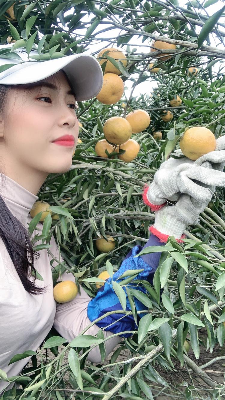 秀儿的陈皮小店