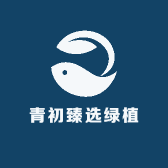 青初臻选绿植