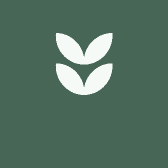 梦幻好物小铺75s