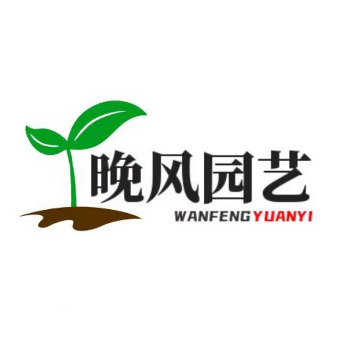 晚风园艺dy