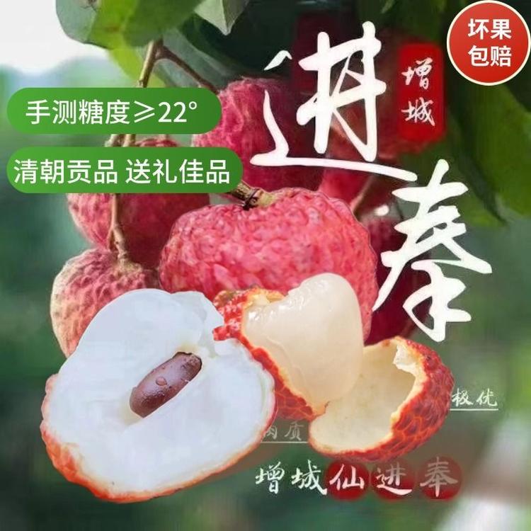 森记甄选