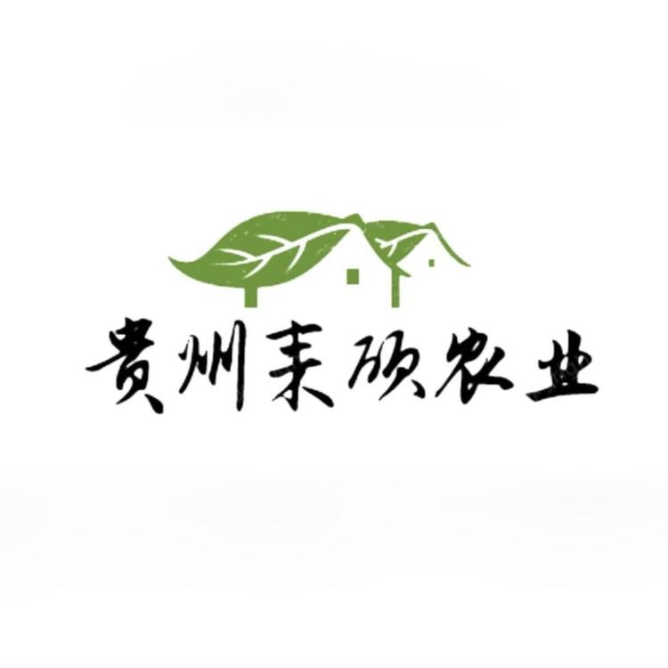 耒硕优选