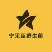 宁采臣野生菌