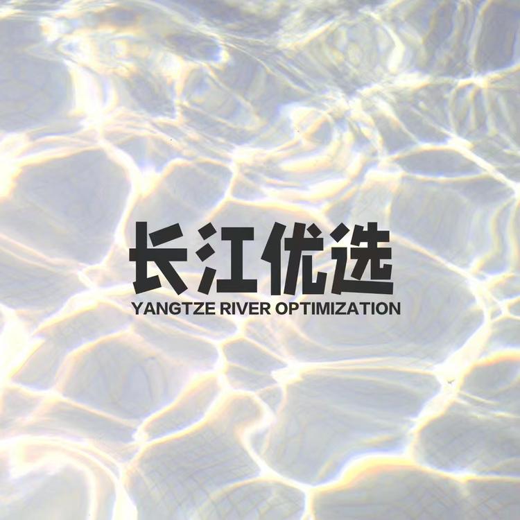 长江优选仓