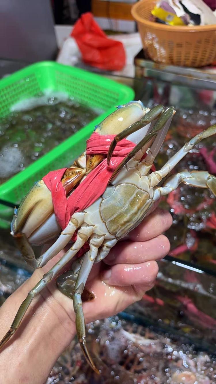 膏蟹青蟹批发