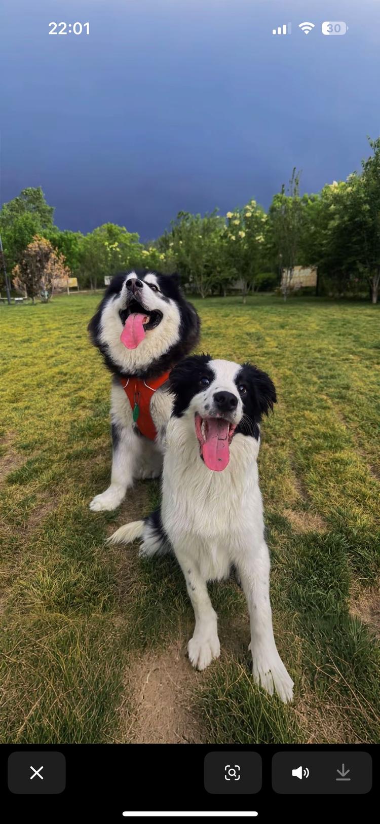 冰糖不看葫芦瓷