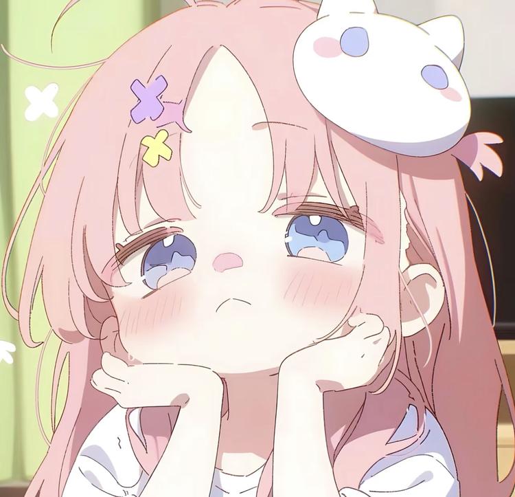 一家有猫的小铺