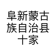 阜新蒙古族自治县十家子镇星缘珠宝店的小店