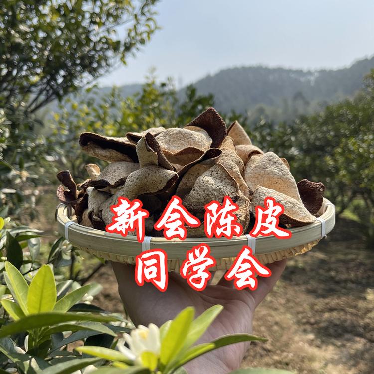 新会陈皮同学会