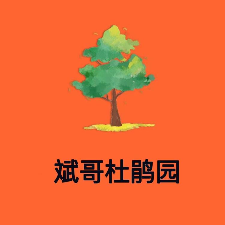 斌哥花卉园