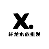 轩龙水族批发